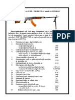 Caracteristice Armament Infanterie