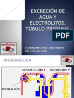 Clase 17 - Excreción de Agua y Electrolitos. Túbulo Proximal