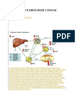 Proses Metabolisme Lemak