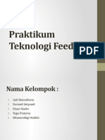 Praktikum Teknologi Feedlot