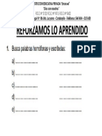 Reforzamos Lo Aprendido (Palabras Homófonas y Homógrafas)