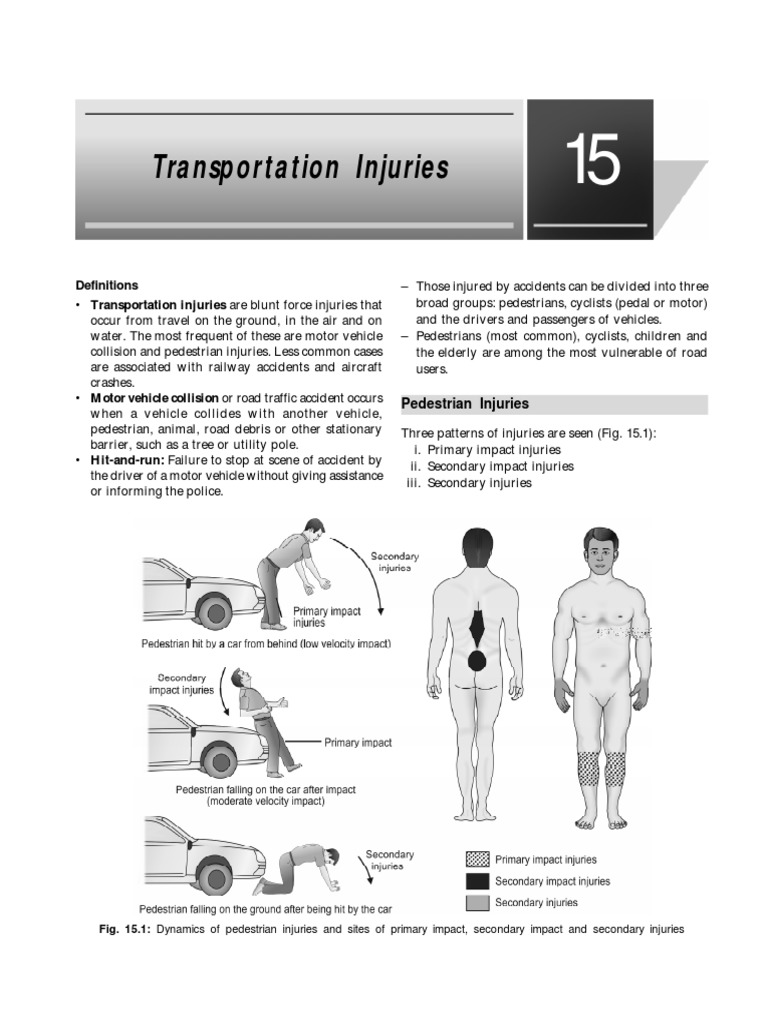 Transportation Injuries (Review of Forensic Medicine and Toxicology ...