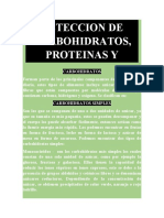 Deteccion de Carbohidratos, Proteinas y Grasas - Biologia