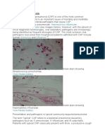 Community-Acquired Pneumonia (CAP)