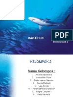 Bagar Hiu Kelompok 2