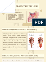 Benigna Prostat Hiperplasia: Disusun Oleh: KELOMPOK 4 (PSIK 4A)