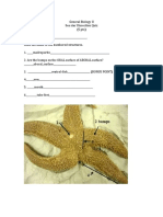 Sea Star Dissection Quiz