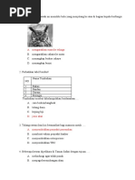 soal IPA kelas 6 sd