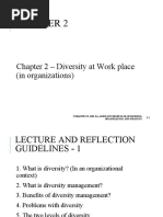 Chapter 2 Diversity in Organizations