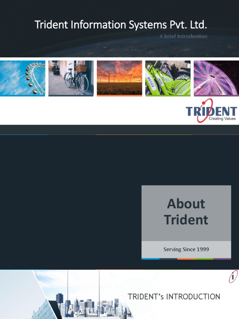 Trident Info: IT Solutions & Partnerships | PDF | Retail | Customer ...