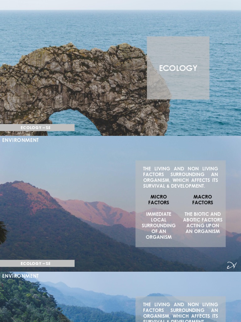 Module 01 - Environment & Ecosystem | PDF | Ecology | Ecosystem