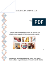 Etiologia Arsurilor