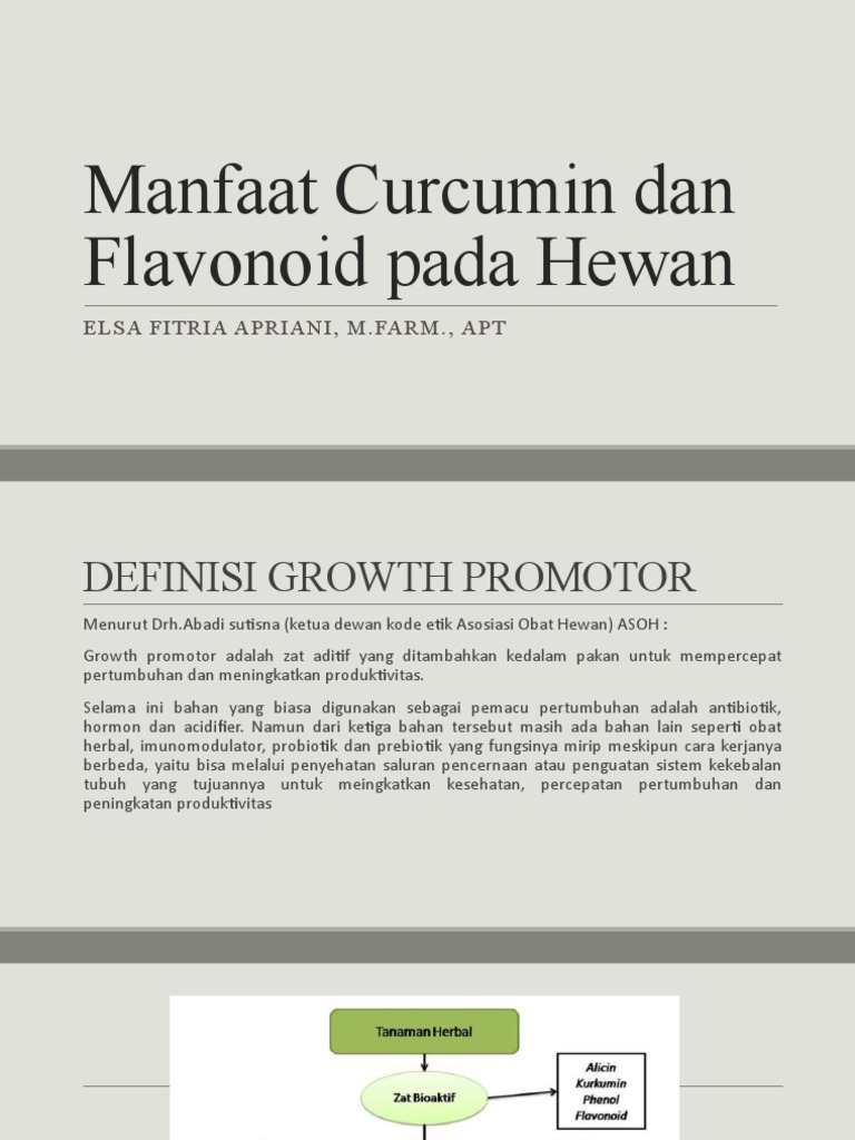 Manfaat Curcumin Dan Flavonoid Pada Hewan New PDF