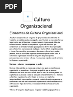 Cultura Organizacional