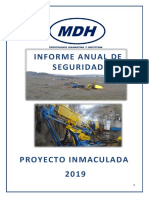 Informe anual de seguridad MDH Proyecto Inmaculada 2019