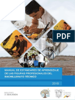 Manual de Estandares de Aprendizaje de Las Figuras Profesionales Del Bachillerato Tecnico