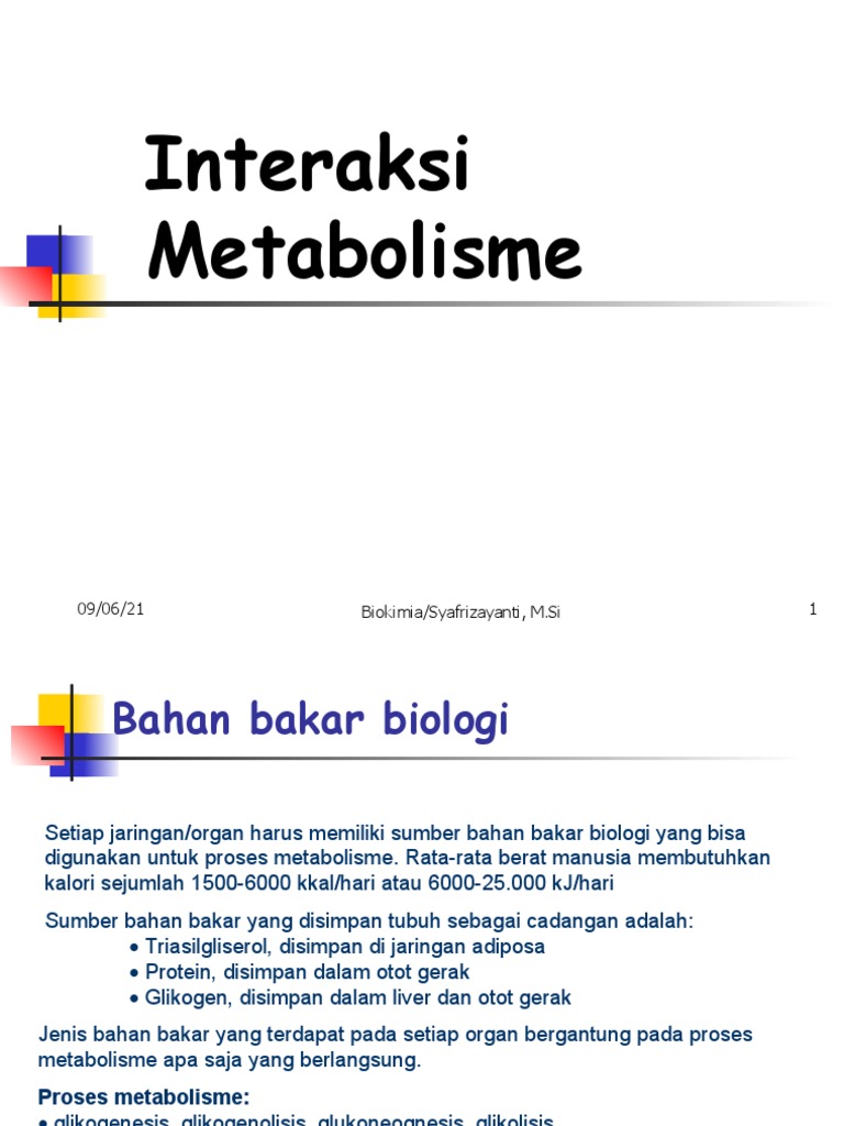 Interaksi Metabolisme Pdf