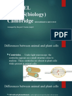 A Level Biology Presentations