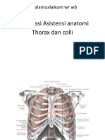 Asistensi Anatomi