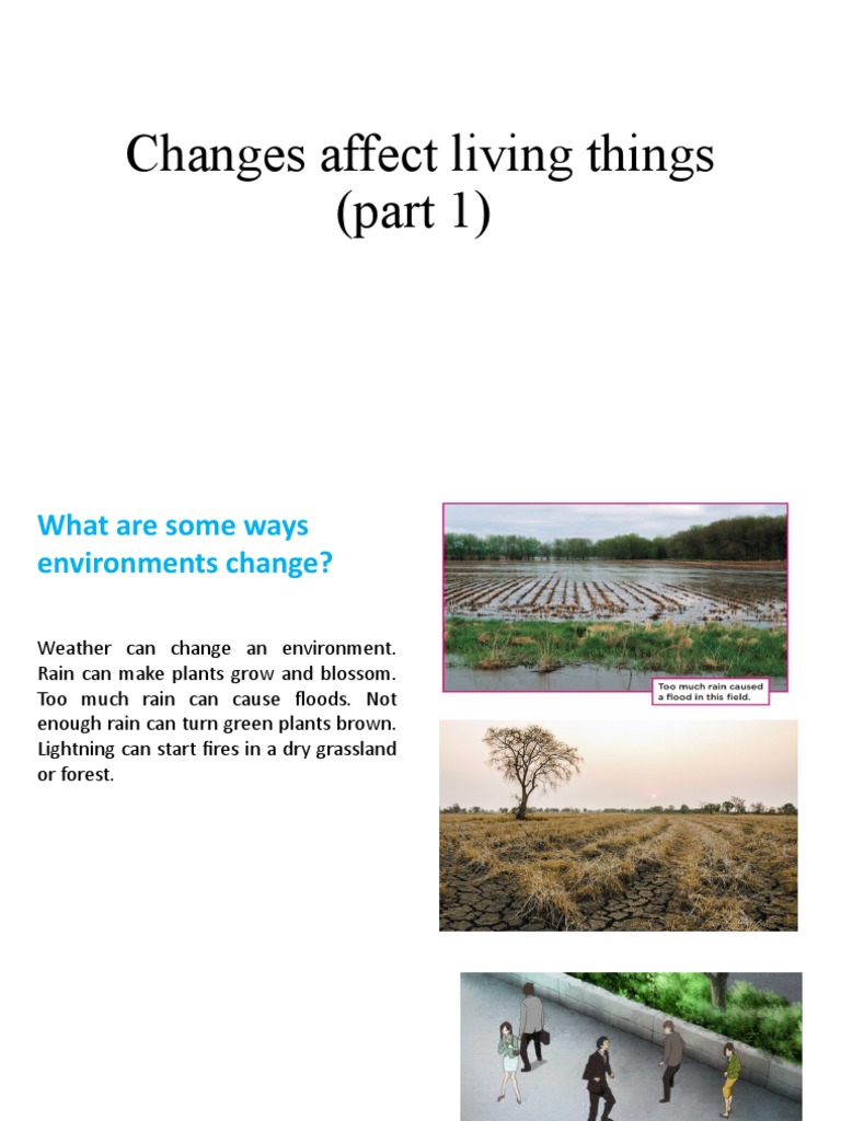 Changes Affect Living Things (Part 1) PDF