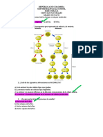 Edited - EVALUACIÓN OCTAVO 2DO PERIODO Biologia