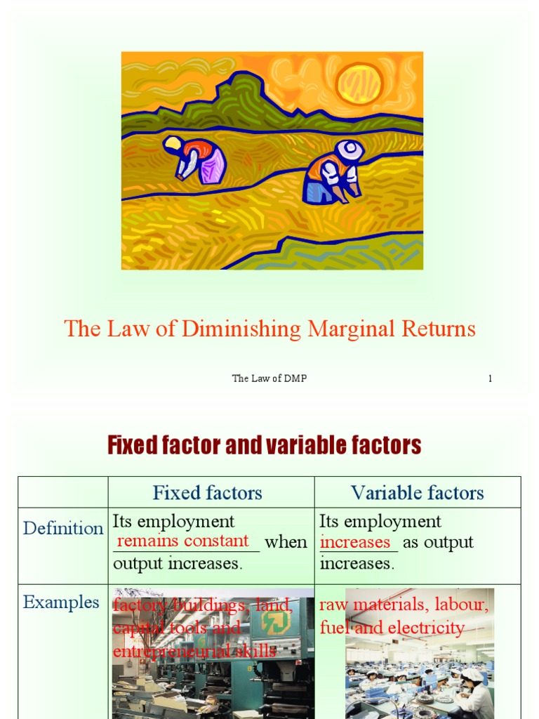 Understanding Diminishing Marginal Returns | PDF | Labour Economics ...