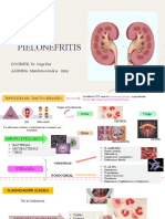 ITU Y Pielonefritis: DOCENTE: Dr. Jorge Paz ALUMNA: Mendoza Alcalá A Mmy