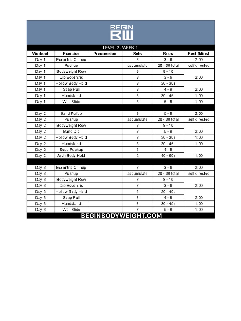 Workout Exercise Progression Sets Reps Rest (Mins) : Level 2 - Week 1 ...