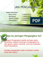 JARINGAN PENGANGKUT