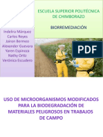 Uso de Microorganismos Modificados