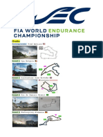 Fia World Endurance Championship