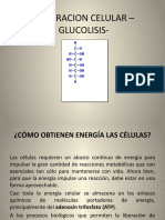 Respiracion Celular - Glucolisis - Grado 11