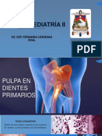 Pulpa Dentaria en Dientes Primarios