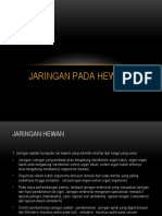 JARINGAN HEWAN