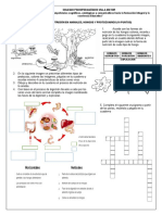 TALLER NUTRICIÓN EN HONGOS, ANIMALES Y PROTOZOOS