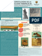 Paleopatología Tr-40 Poster (PAMINSA 2017)