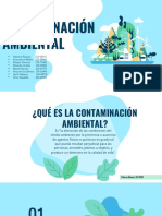 Contaminación Ambiental