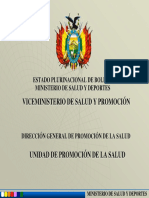 TallerElaboracionEstrategia Bolivia 2011 Ministerio SAFSI