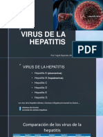 Clase, Hepatitis