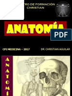 A55 - CFC 2017 - Abdomen (Arterias)