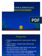 Anfis Endokrin PPT