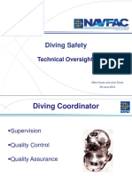 Diving Safety: Technical Oversight
