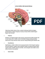 Bagian Dan Struktur Otak Manusia Lainnya