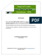 Carta Laboral de Optimus