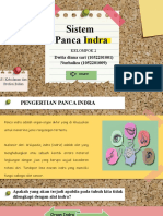 Sistem Panca Indera - Pert. 12