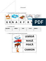 EVALUARE FINALĂ