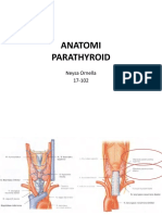 Anatomi Parathyroid
