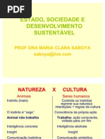 Cultura e humanização