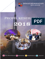 Profil Dinkes 2018