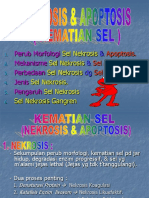 Nekrosis & Apoptosis Atau Kematian Sel - D3 Keperawatan PKJ 1